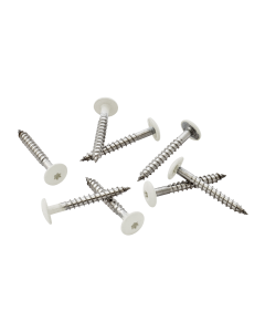 Pack of 100 39mm Stainless Steel Screw + Bit for Fibre Cement Cladding Boards