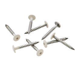Pack of 100 39mm Stainless Steel Screw + Bit for Fibre Cement Cladding Boards - Cream