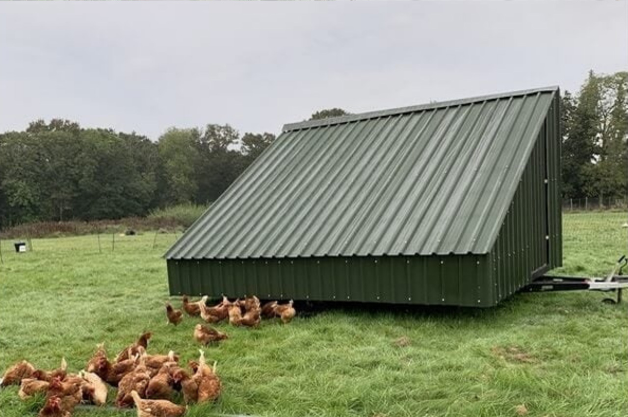 Cladco 32/1000 Box Profile Roofing Sheets form this attractive and unique hen house
