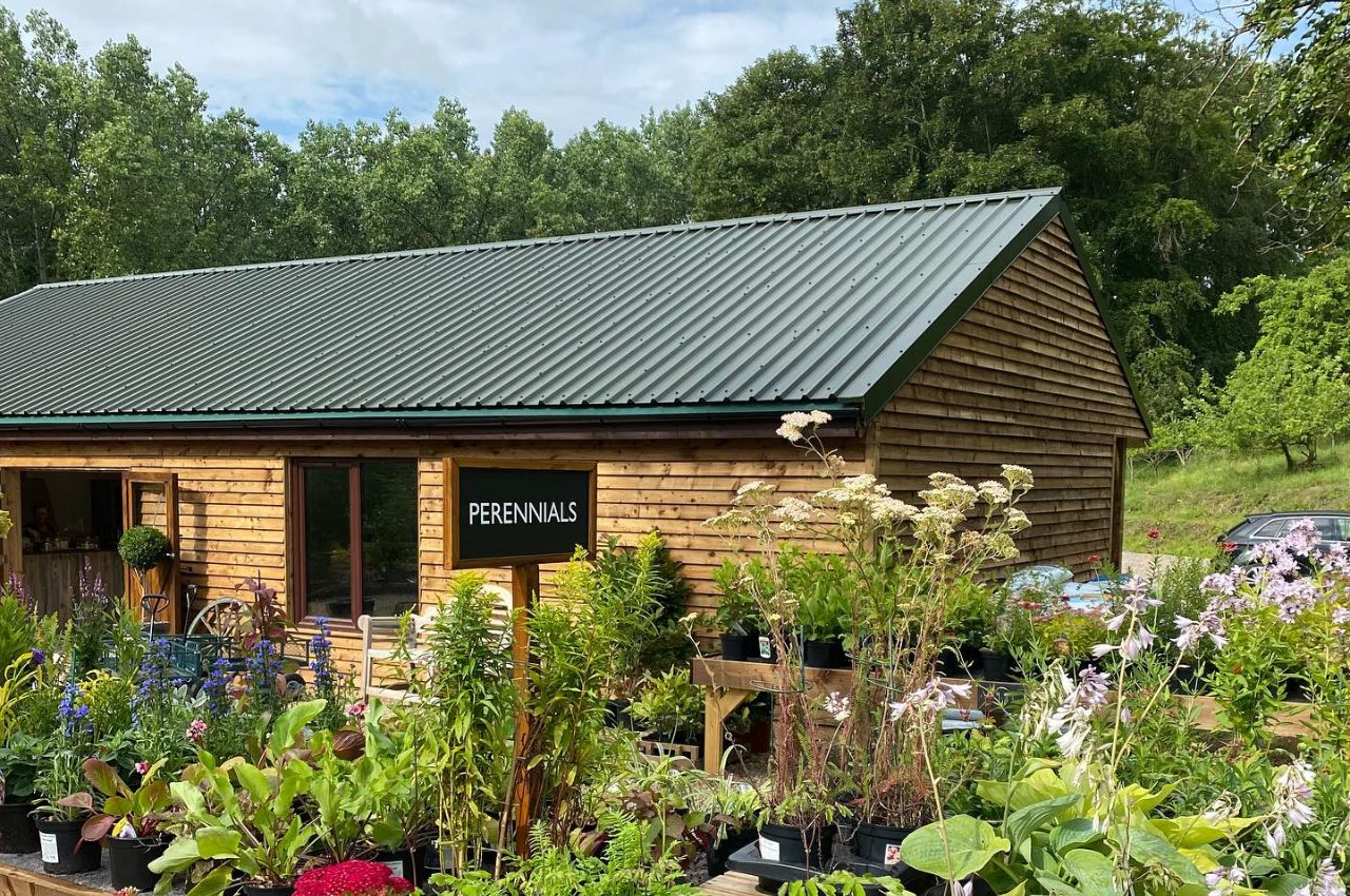 Apple Orchard Nursery Roofing | 32/1000 Box Profile In Juniper Green