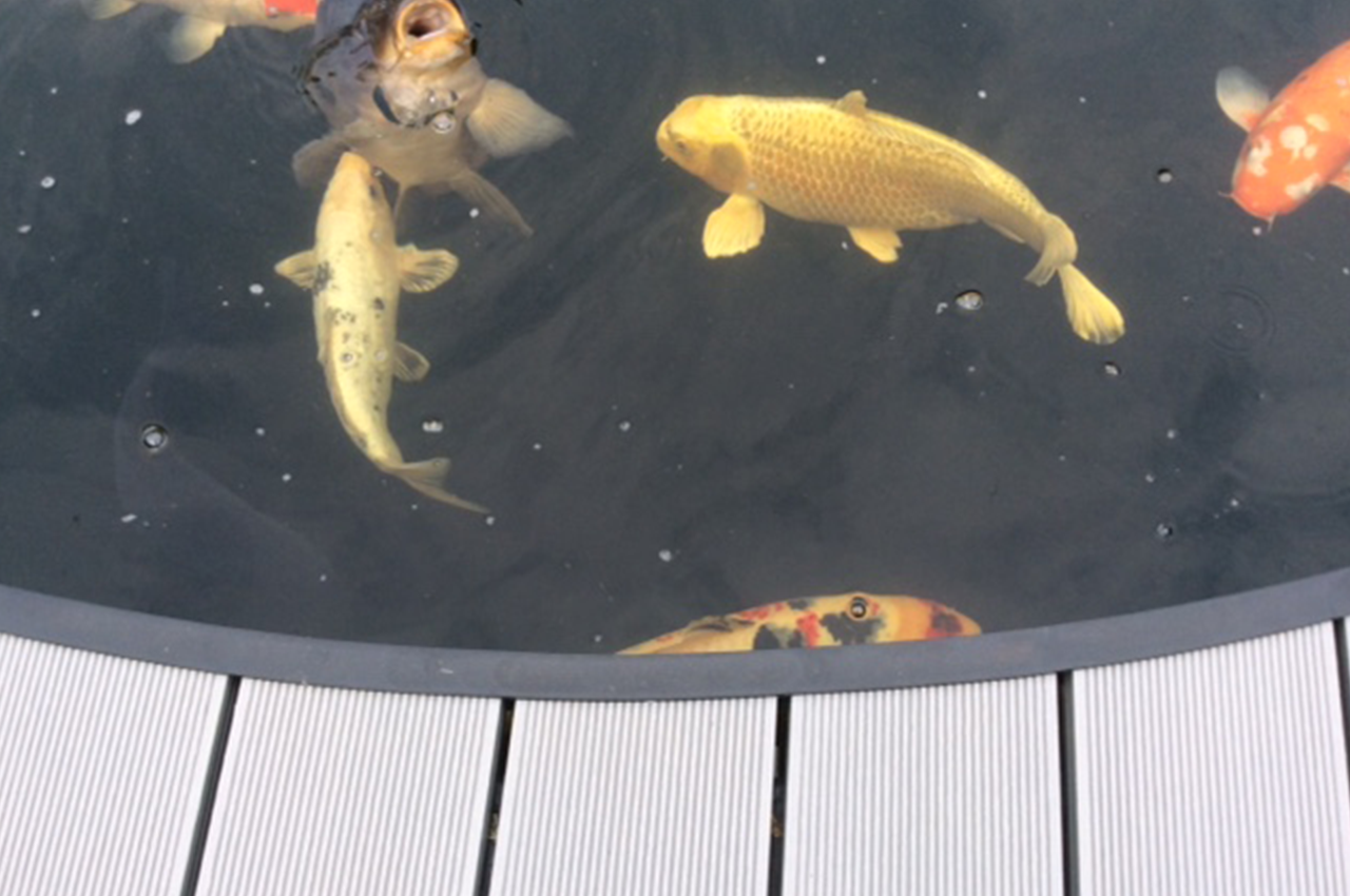 Light Grey Decking Boards with Built in pond