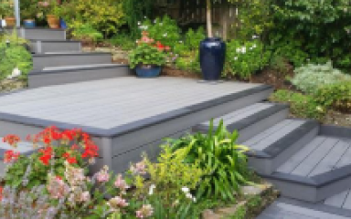 Fasica Boards