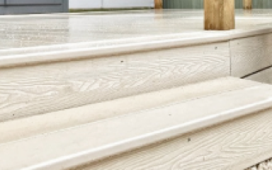 Fasica Boards