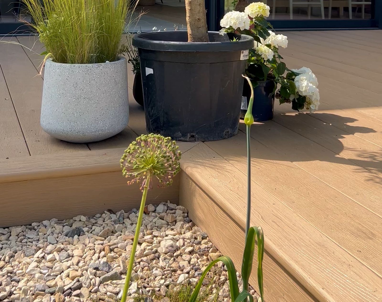 Warm-toned Nordeck PVC decking with potted plants and gravel border, showcasing clean edging and natural wood-effect finish.