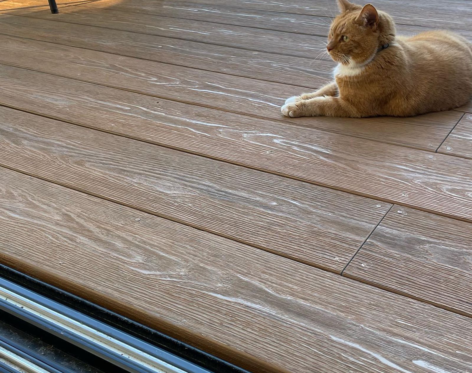 Textured brown Nordeck PVC decking with white grain detailing, featuring a relaxed ginger cat lounging near a patio door.