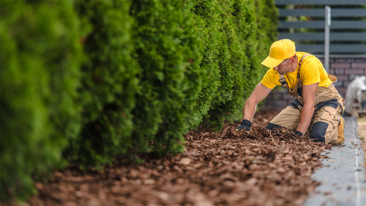 Alternatives to decking: wood chippings