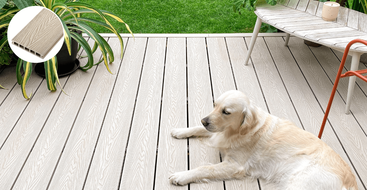 dog relaxes on ivory decking